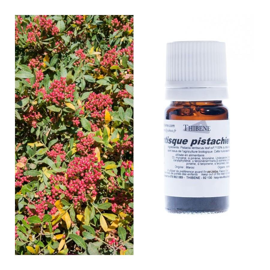 thibêne Huiles essentielles Lentisque pistachier