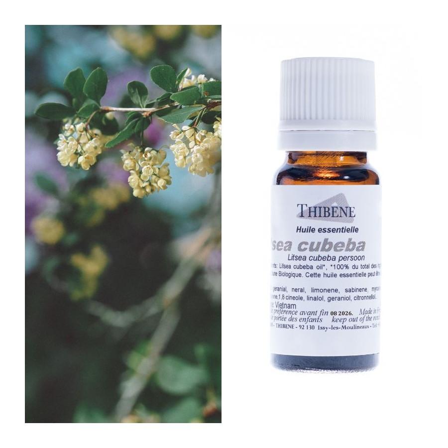 thibêne Huiles essentielles Litsea cubeba