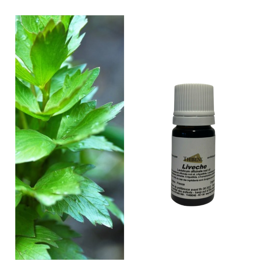 thibêne Huiles essentielles Livêche