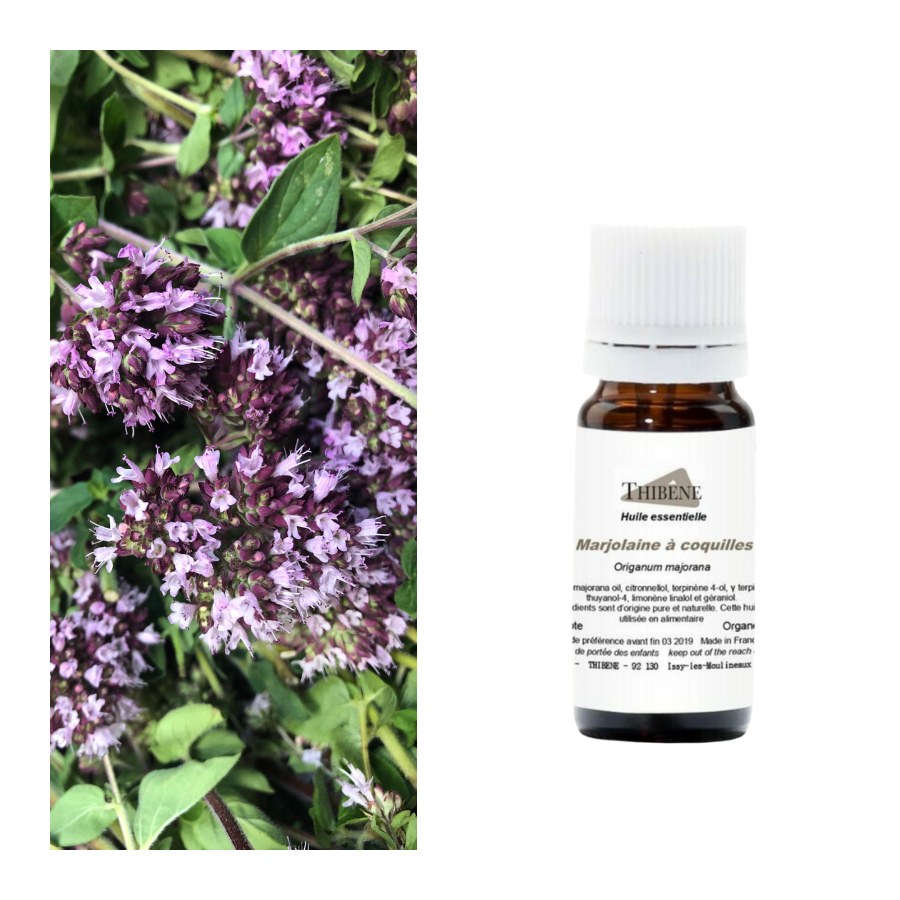 thibêne Huiles essentielles Marjolaine à coquilles