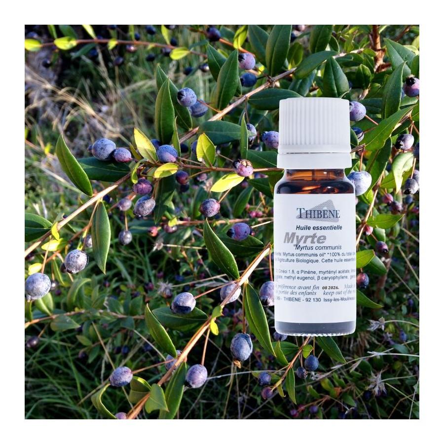 Thibêne Huiles Essentielles Myrte