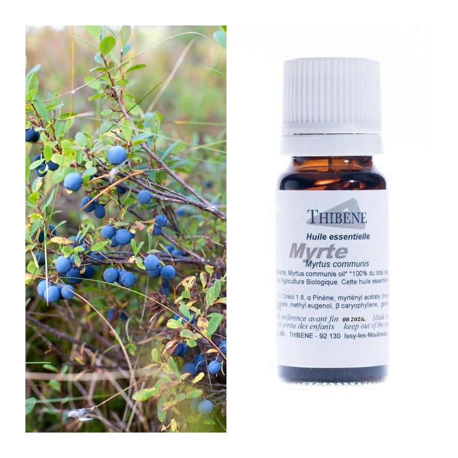 thibêne Huiles essentielles Myrte