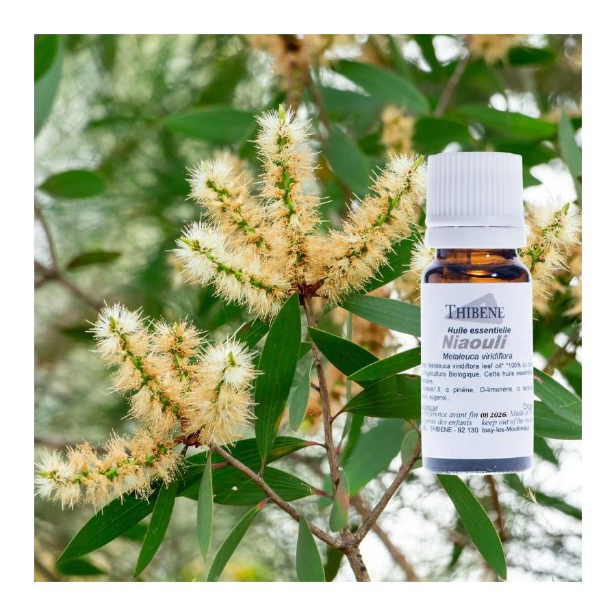 Thibêne Huiles Essentielles Niaouli