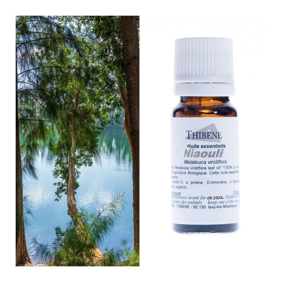thibêne Huiles essentielles Niaouli