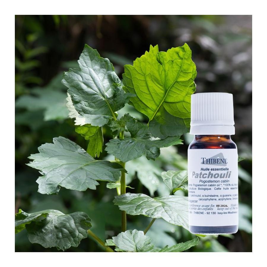 Thibêne Huiles Essentielles Patchouli