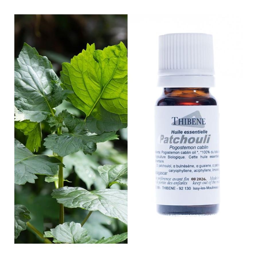 thibêne Huiles essentielles Patchouli