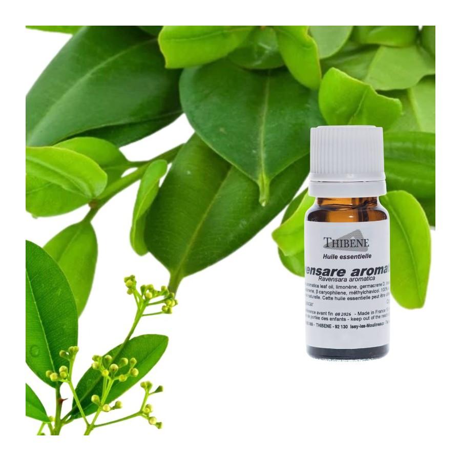 Thibêne Huiles Essentielles Ravensare Aromatica
