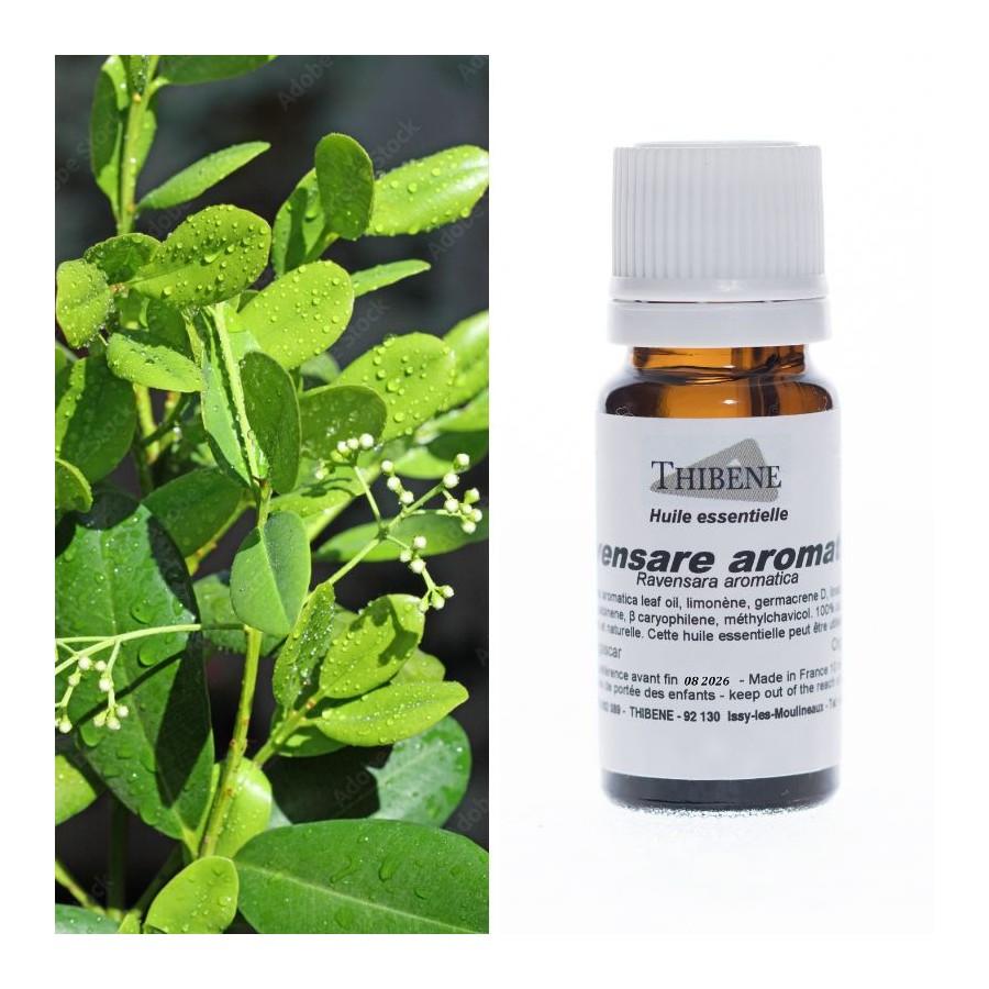 thibêne Huiles essentielles Ravensare aromatica