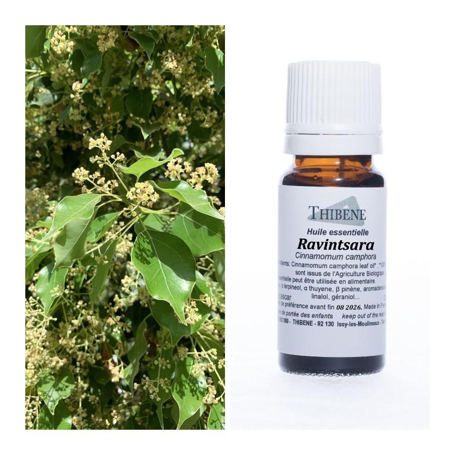 thibêne Huiles essentielles Ravintsara
