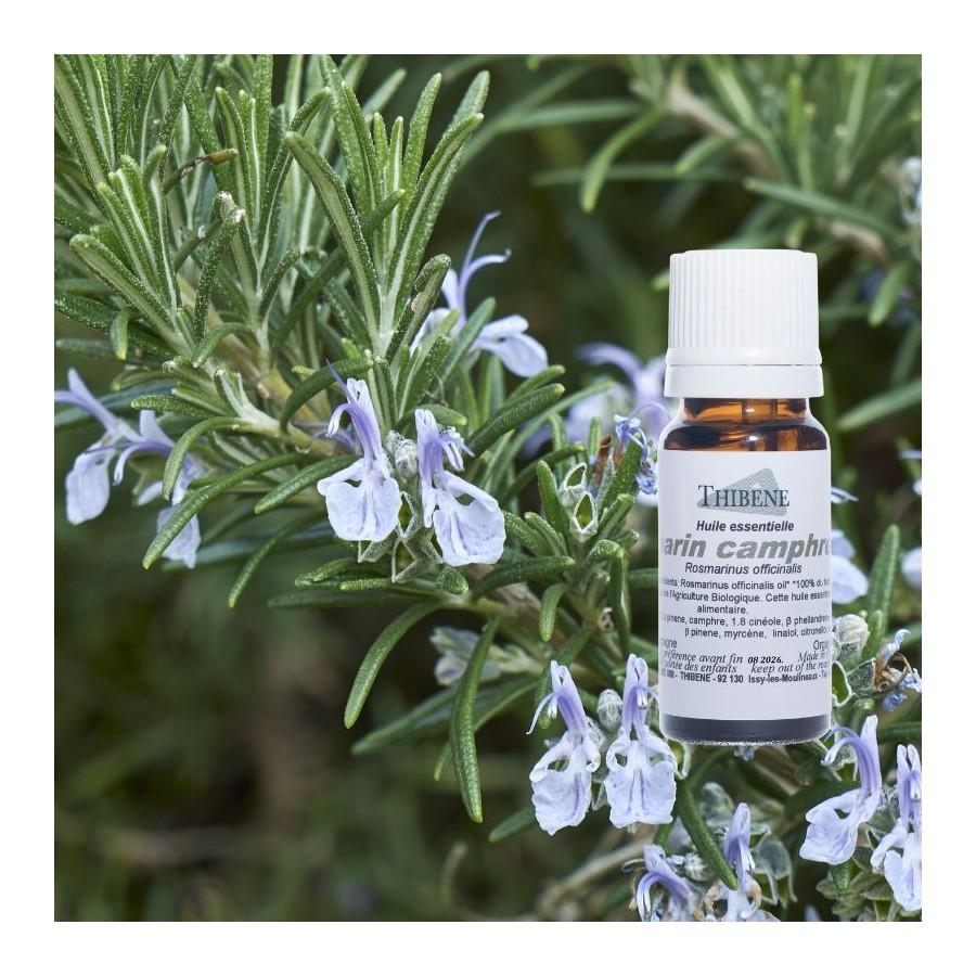 Thibêne Huiles Essentielles Romarin Camphré