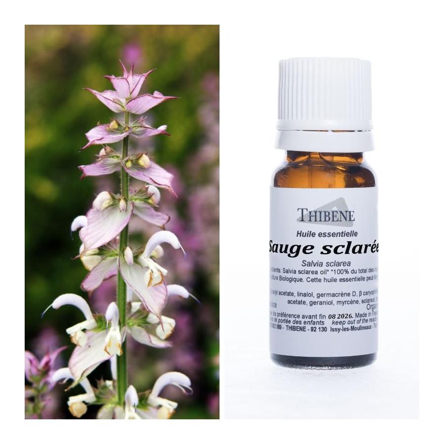 thibêne Huiles essentielles Sauge sclarée