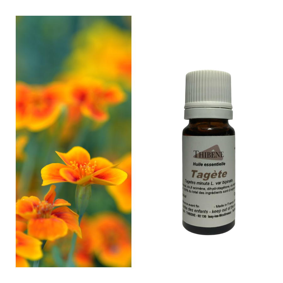 thibêne Huiles essentielles Tagète