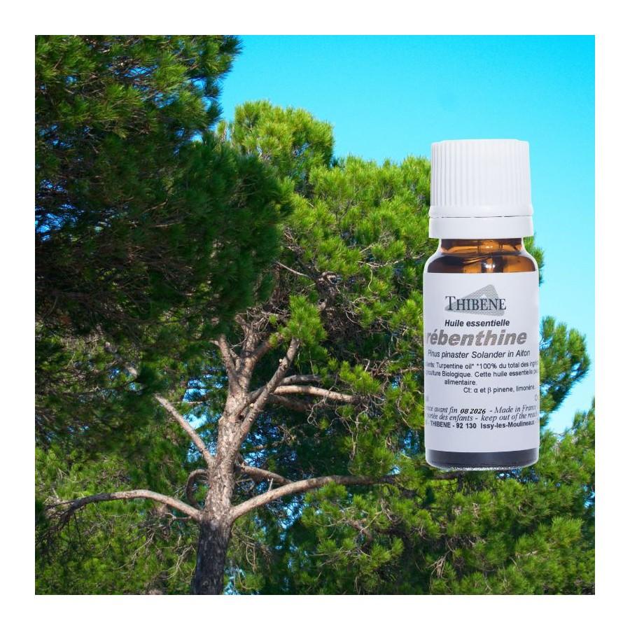 Thibêne Huiles Essentielles Térébenthine