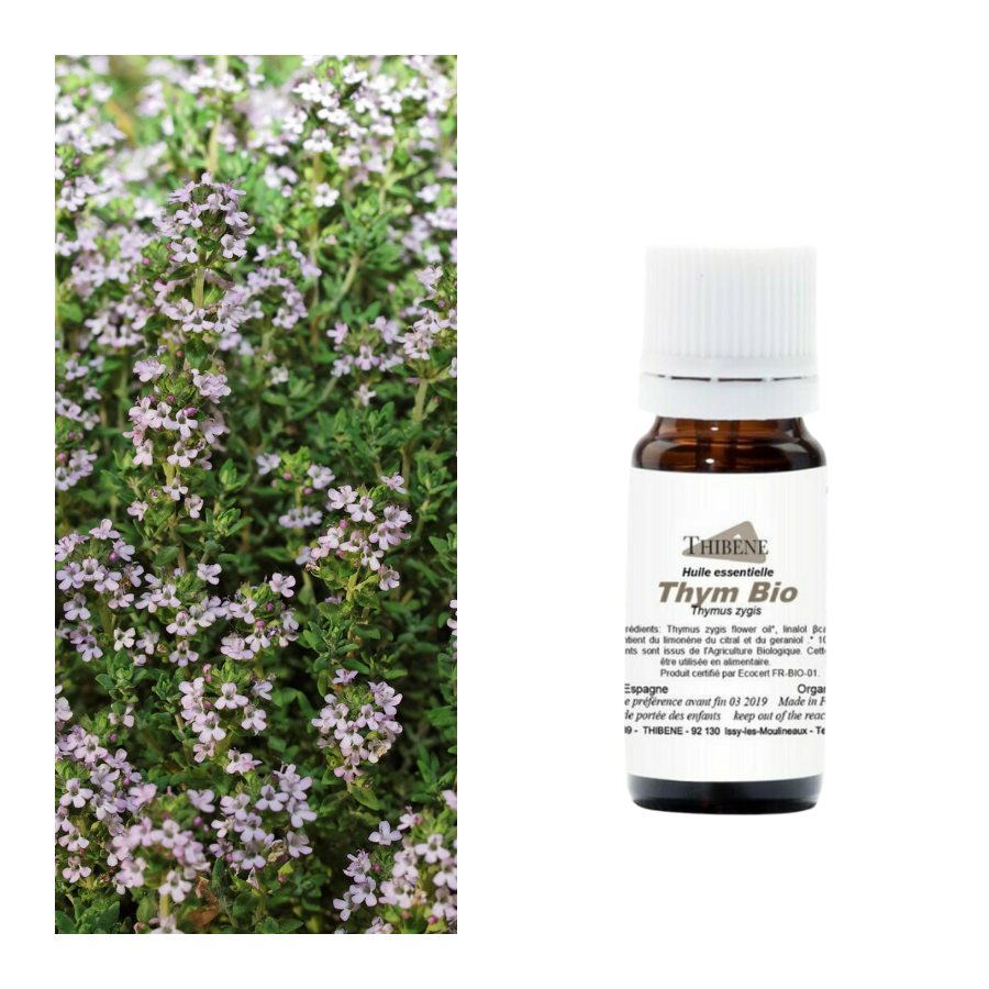 thibêne Huiles essentielles Thym à linalol
