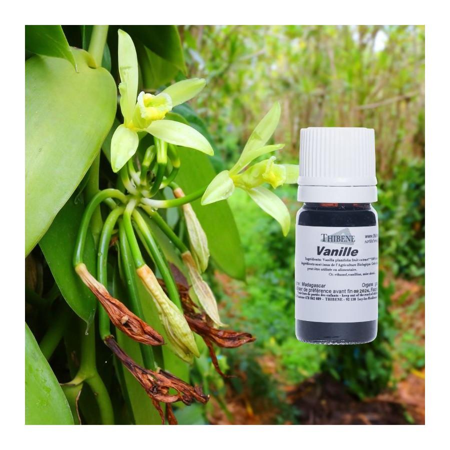 Thibêne Huiles Essentielles Vanille