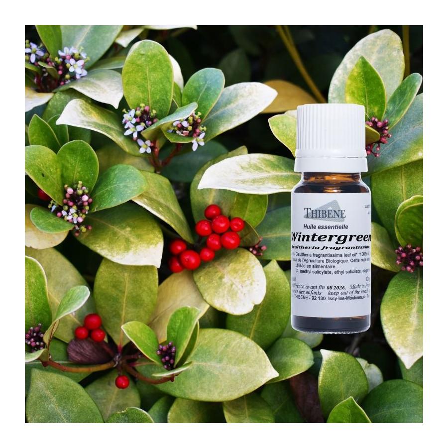 Thibêne Huiles Essentielles Wintergreen