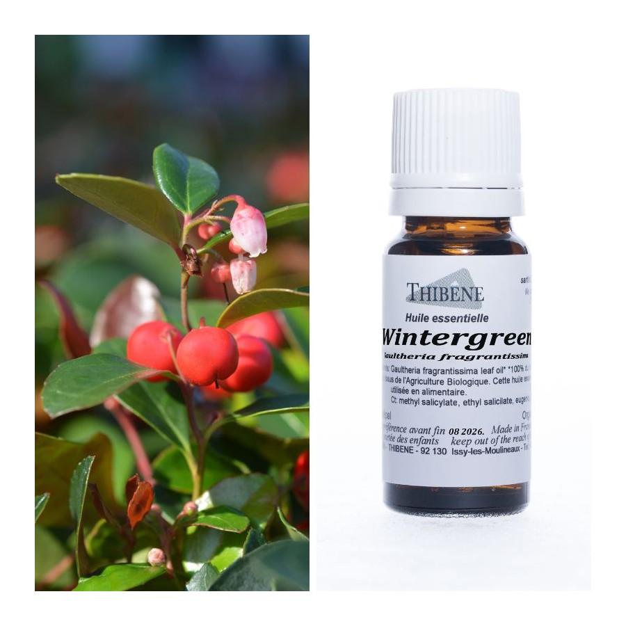 thibêne Huiles essentielles Wintergreen