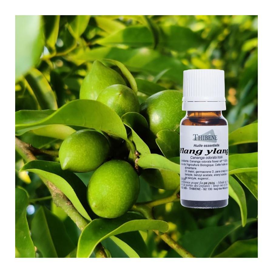 Thibêne Huiles Essentielles Ylang Ylang Extra