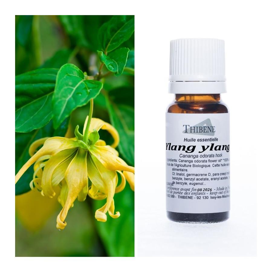 thibêne Huiles essentielles Ylang ylang extra