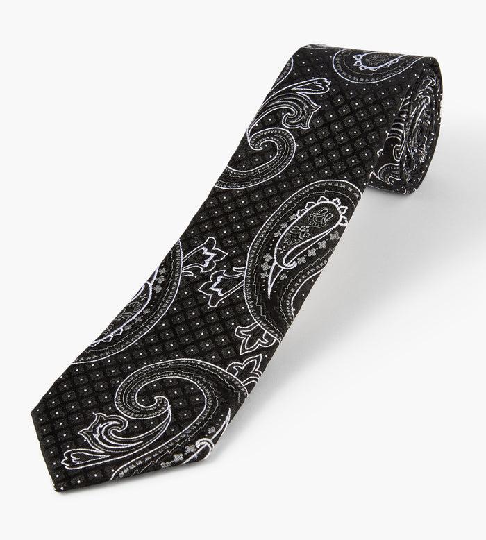 tip top Large Paisley Tie
