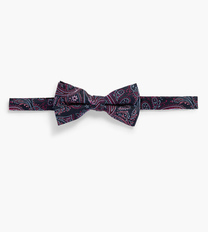 Tip Top Paisley Bow Tie