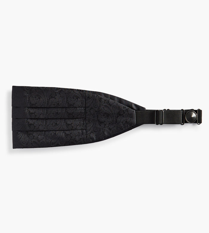 Tip Top Paisley Cummerbund