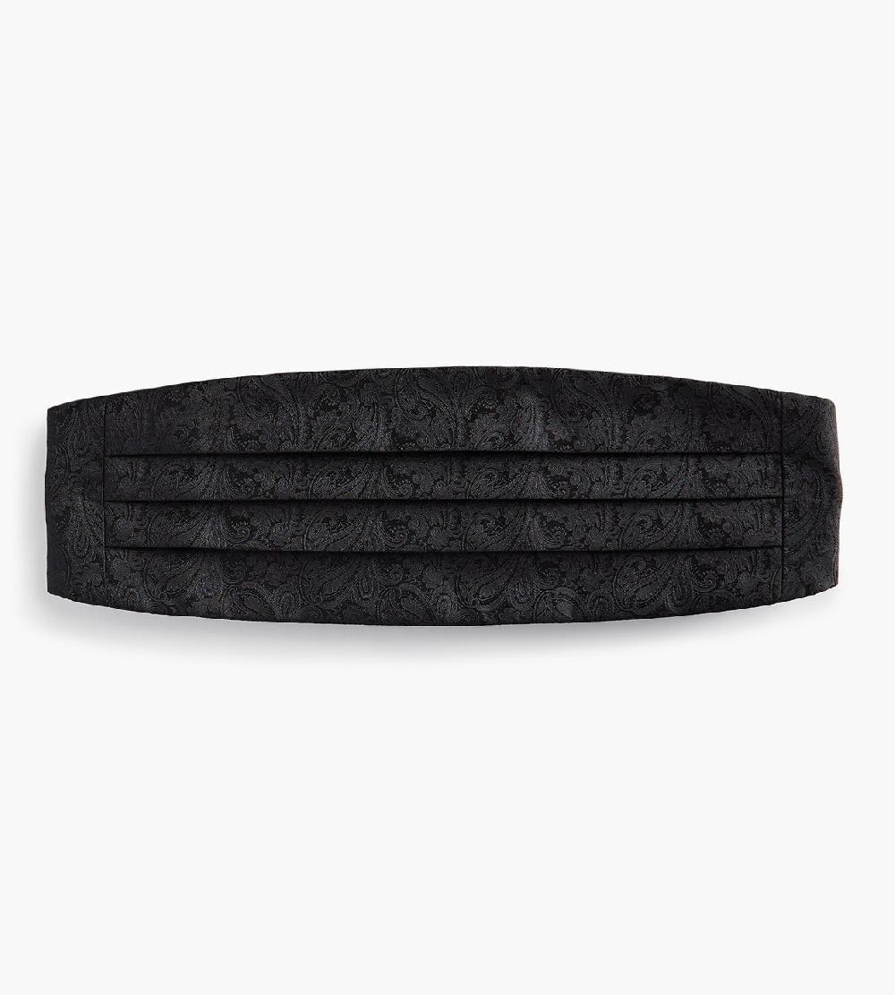 Tip Top Paisley Cummerbund
