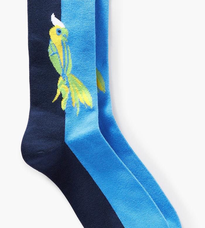Tip Top Parrot Socks