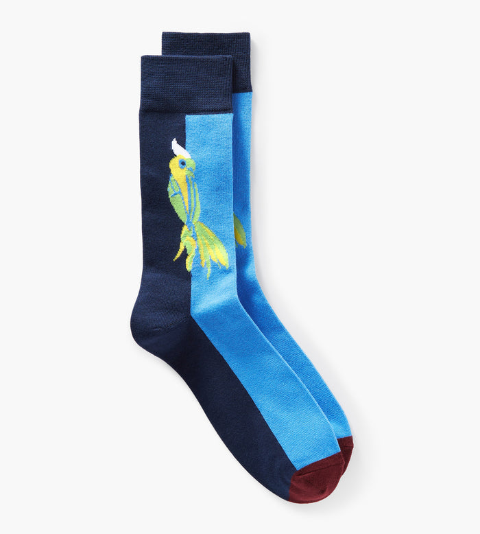 tip top Parrot Socks