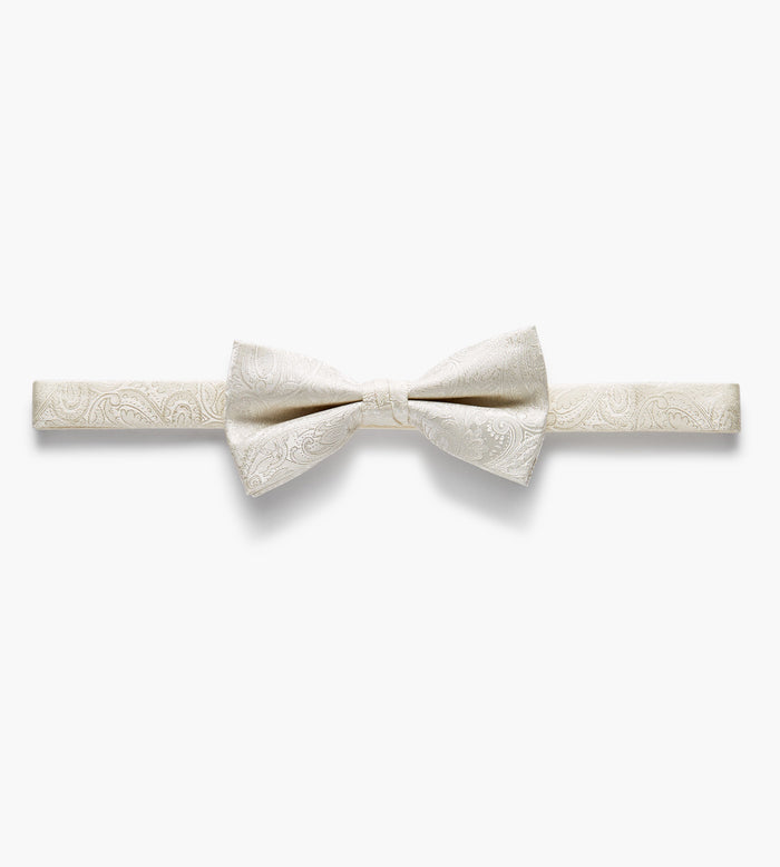 Tip Top Tonal Paisley Bow Tie