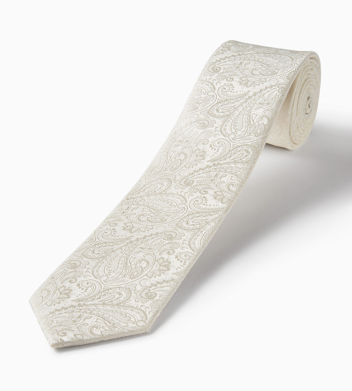 Tip Top Tonal Paisley Tie