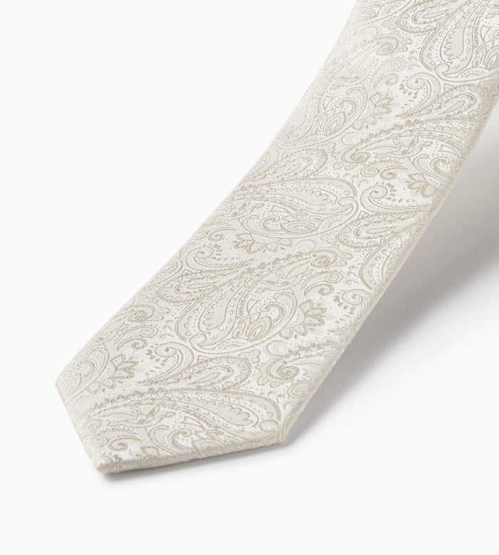 Tip Top Tonal Paisley Tie
