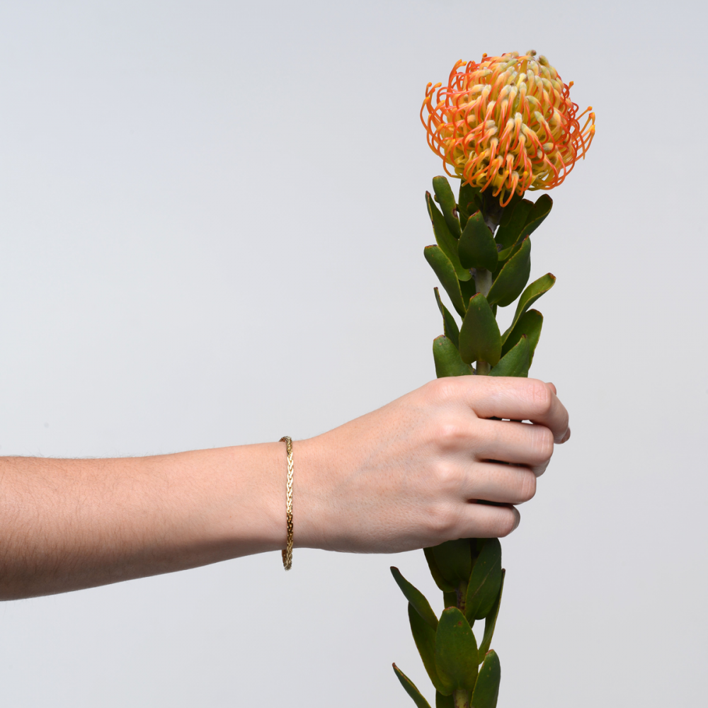 Titlee Bracelet Norfolk