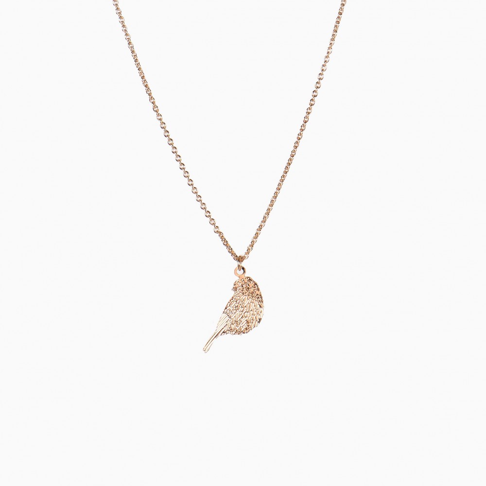 titlee Collier Andrew