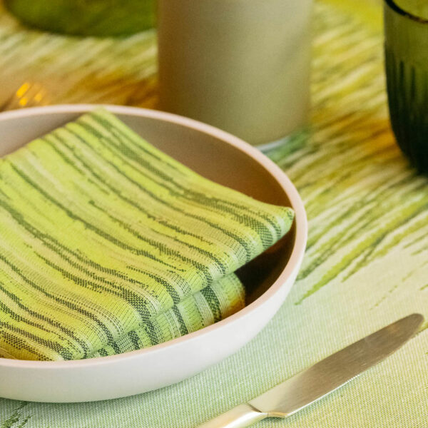 Tissage Moutet AIGUILLE