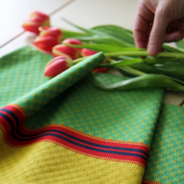 Tissage Moutet CIBOULETTE MENTHE