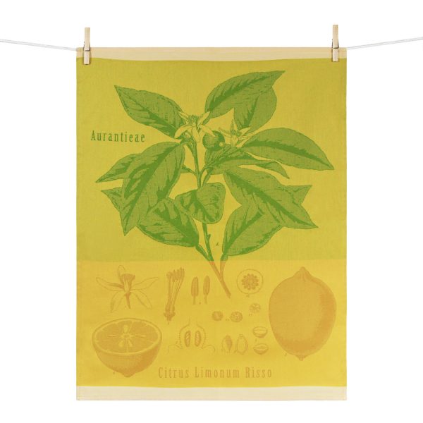 tissage moutet CITRUS