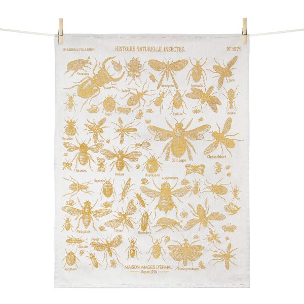 tissage moutet HISTOIRE NATURELLE – INSECTES