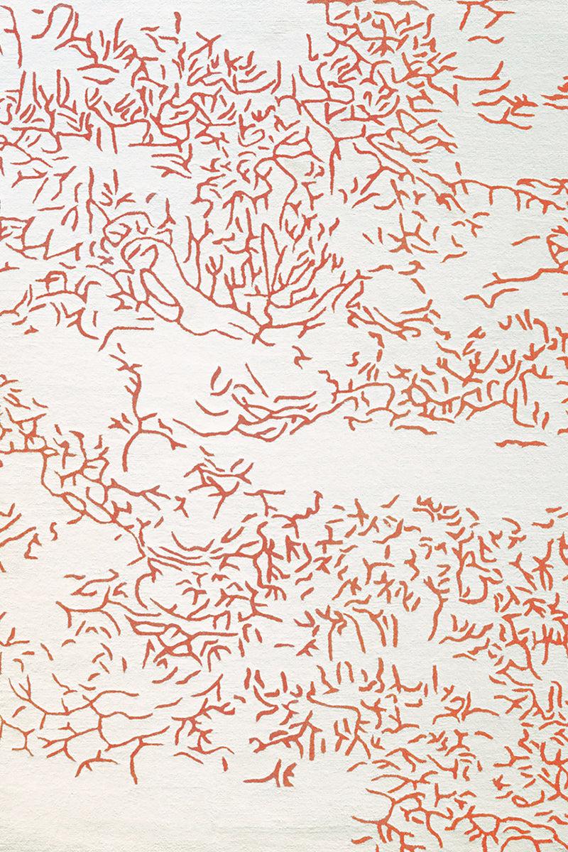 toulemonde bochart Nature Corail Tapis rouge en laine