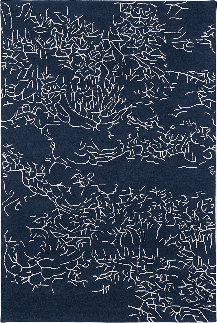 toulemonde bochart Nature Bleu Tapis bleu en laine