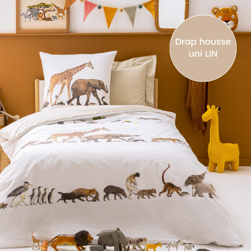 tradilinge Drap housse percale Tradilinge uni LIN (Noé)