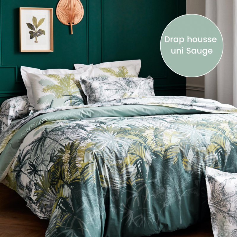 tradilinge Drap housse percale Tradilinge uni SAUGE (Trinidad Mousson)