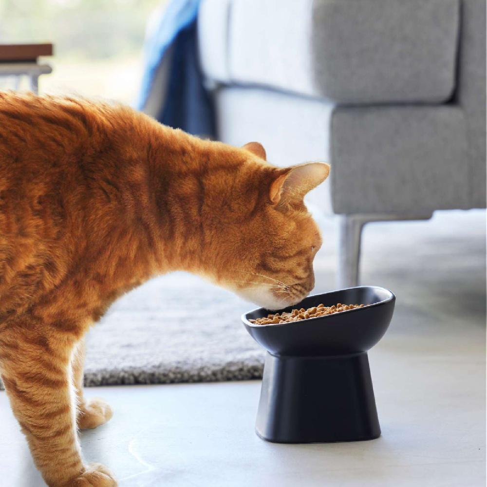 Trendform Angewinkelter Keramik-Futternapf TOWER Schwarz