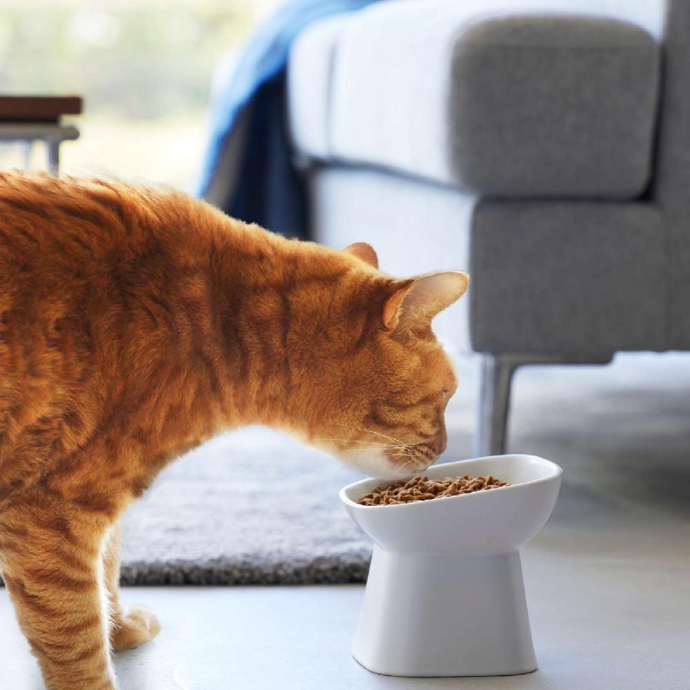 Trendform Angewinkelter Keramik-Futternapf TOWER Weiss