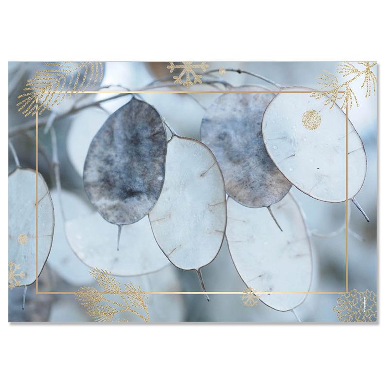 Trendform Papiertischset COOL WINTER 4 Sujets à 12 Blatt