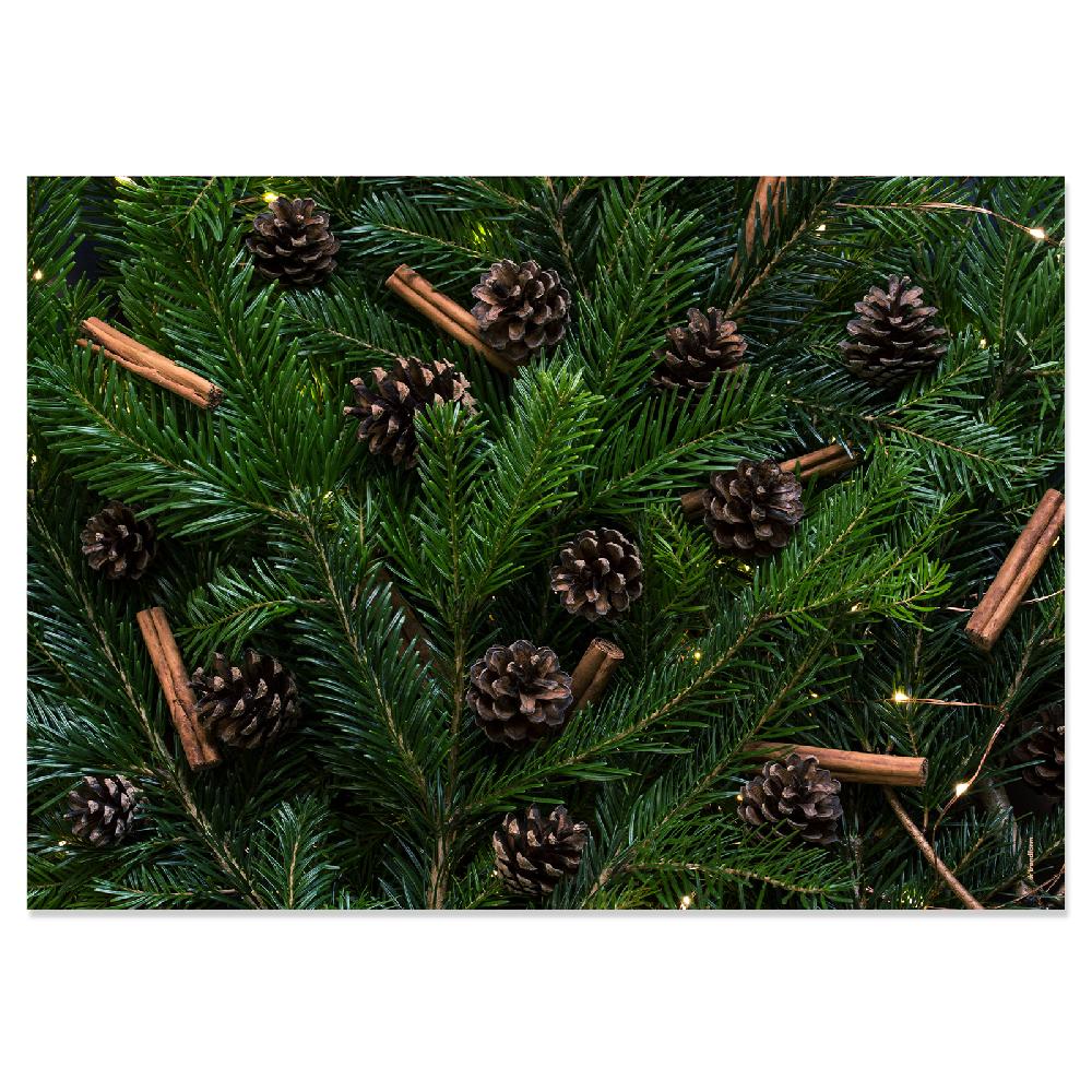 Trendform Papiertischset DEEP FOREST 4 Sujets à 12 Blatt