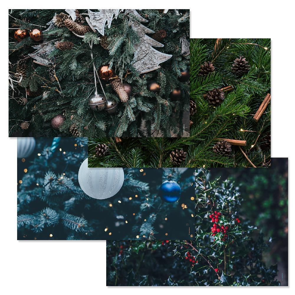 trendform Papiertischset DEEP FOREST 4 Sujets à 12 Blatt