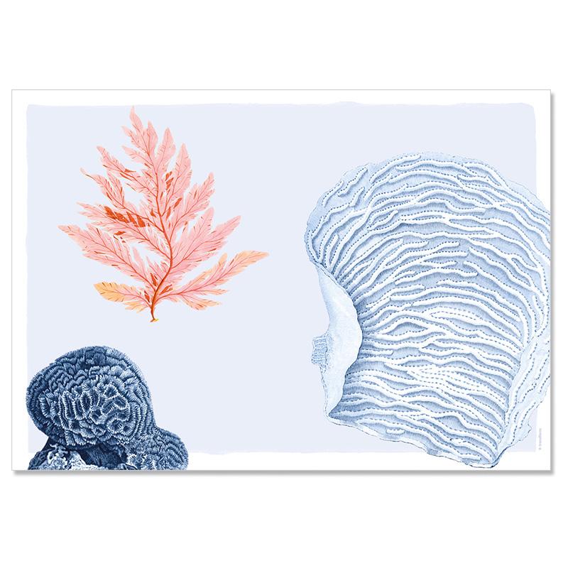 Trendform Papiertischset EL MAR 4 Sujets à 12 Blatt