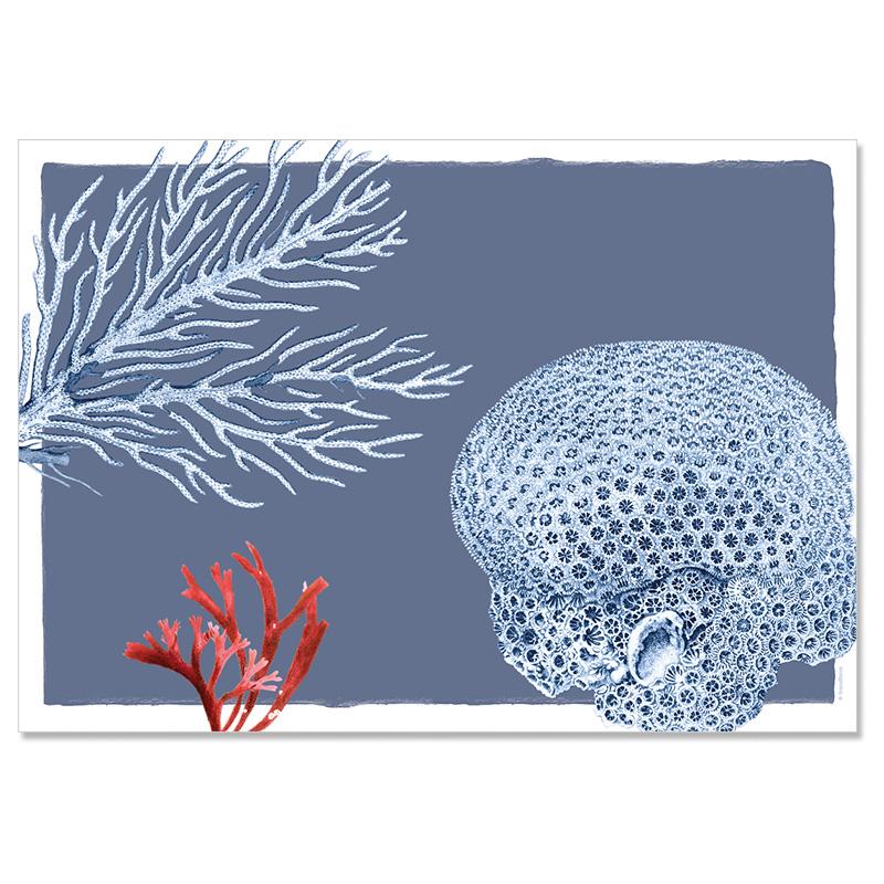 Trendform Papiertischset EL MAR 4 Sujets à 12 Blatt