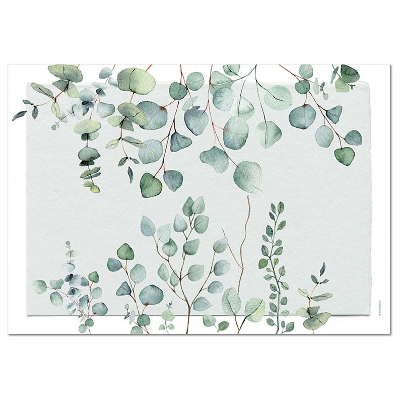 Trendform Papiertischset EUCALYPTUS 4 Sujets à 12 Blatt